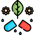 Idealfit
